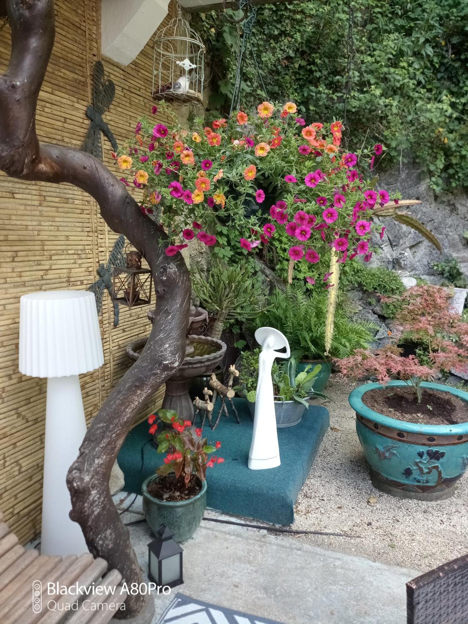 Apartment Malou, Cuisine, Salle D'eau, Terrasse Amenagee
