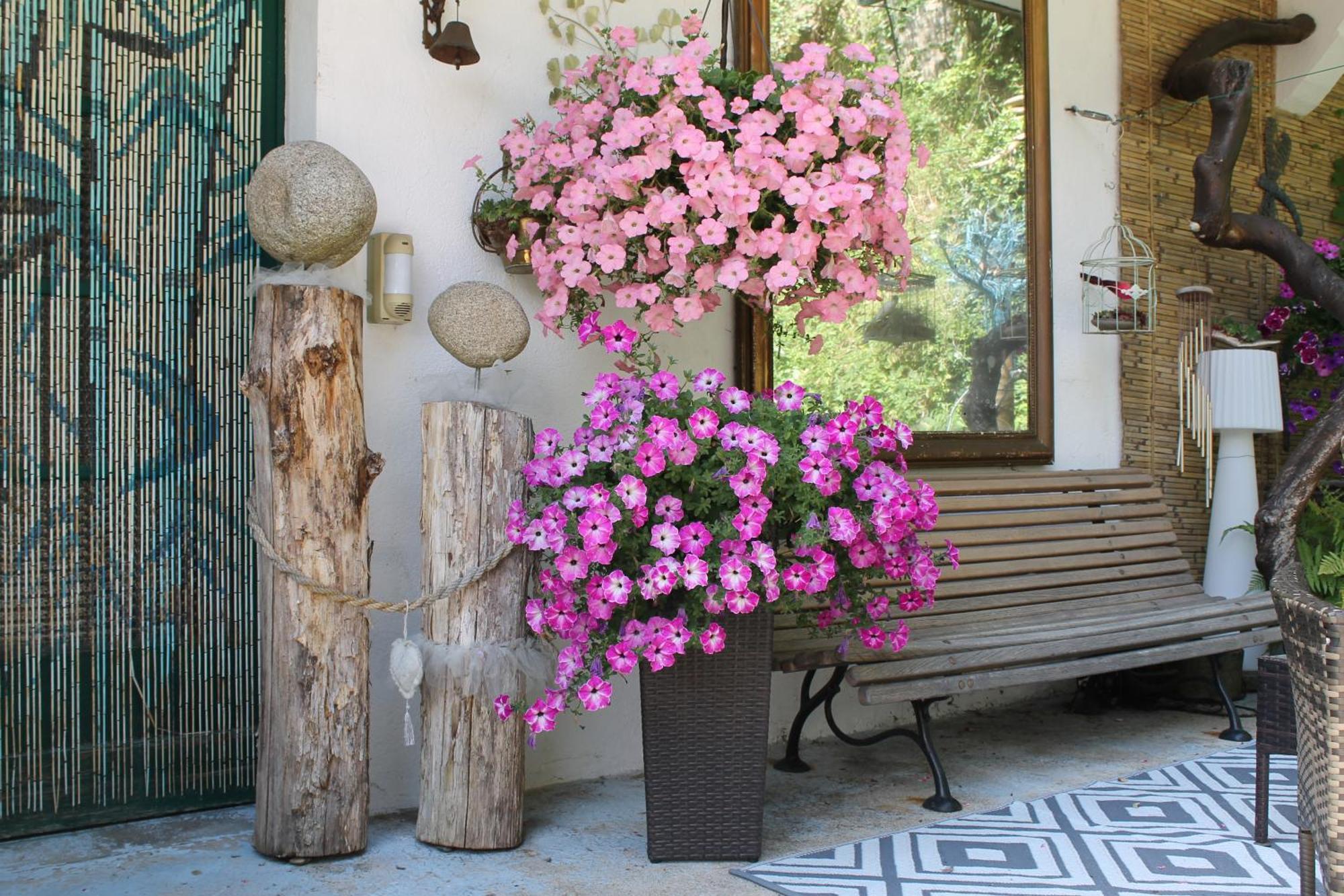 Malou, Cuisine, Salle D'eau, Terrasse Amenagee * Olliergues